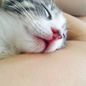 Meet your Posher, Yu